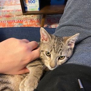 Meet your Posher, Erin